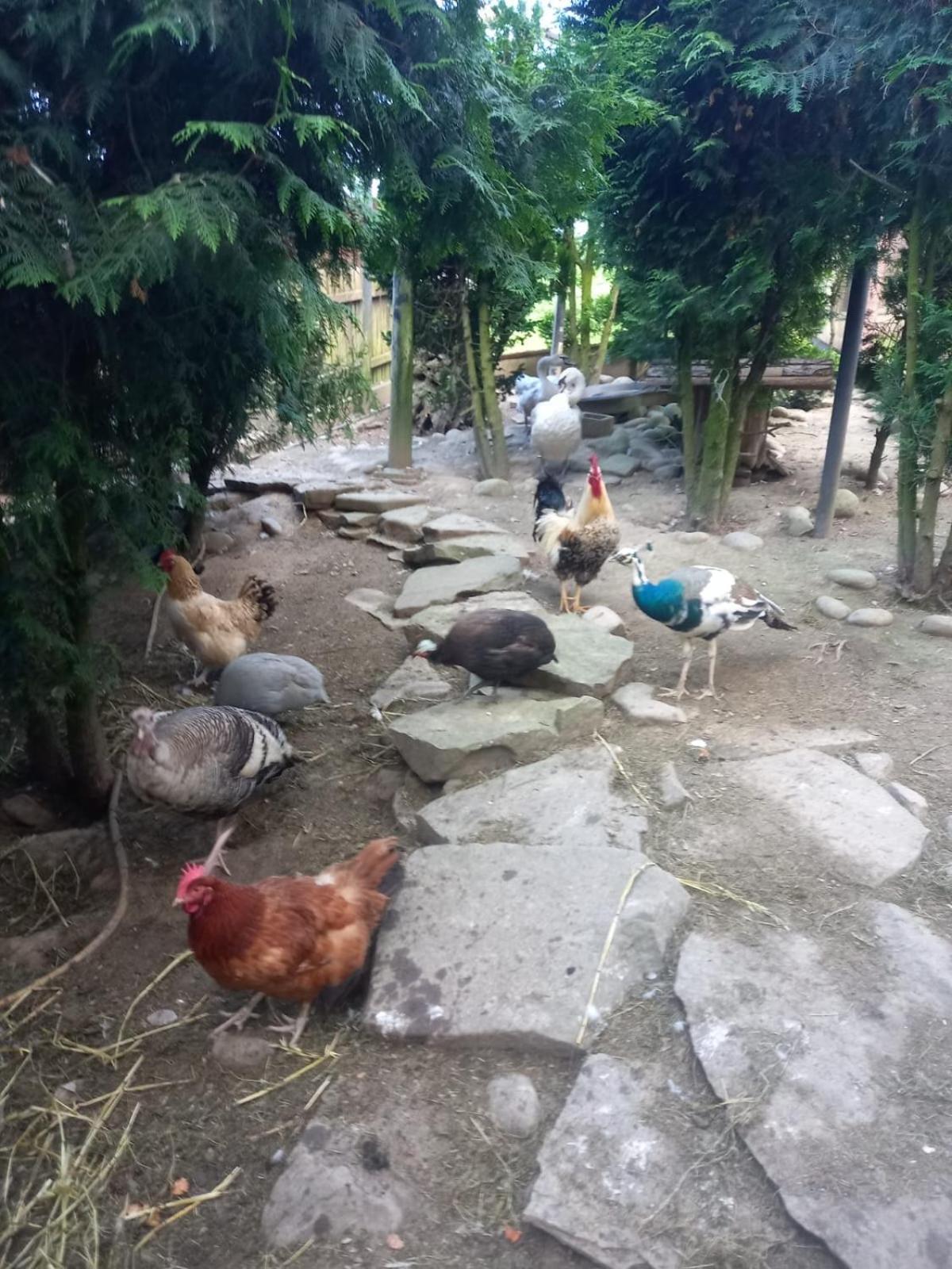 Koperkowe Rancho Beskid Wyspowy Domek Malopolskie Kamionna Kamionna  Екстериор снимка