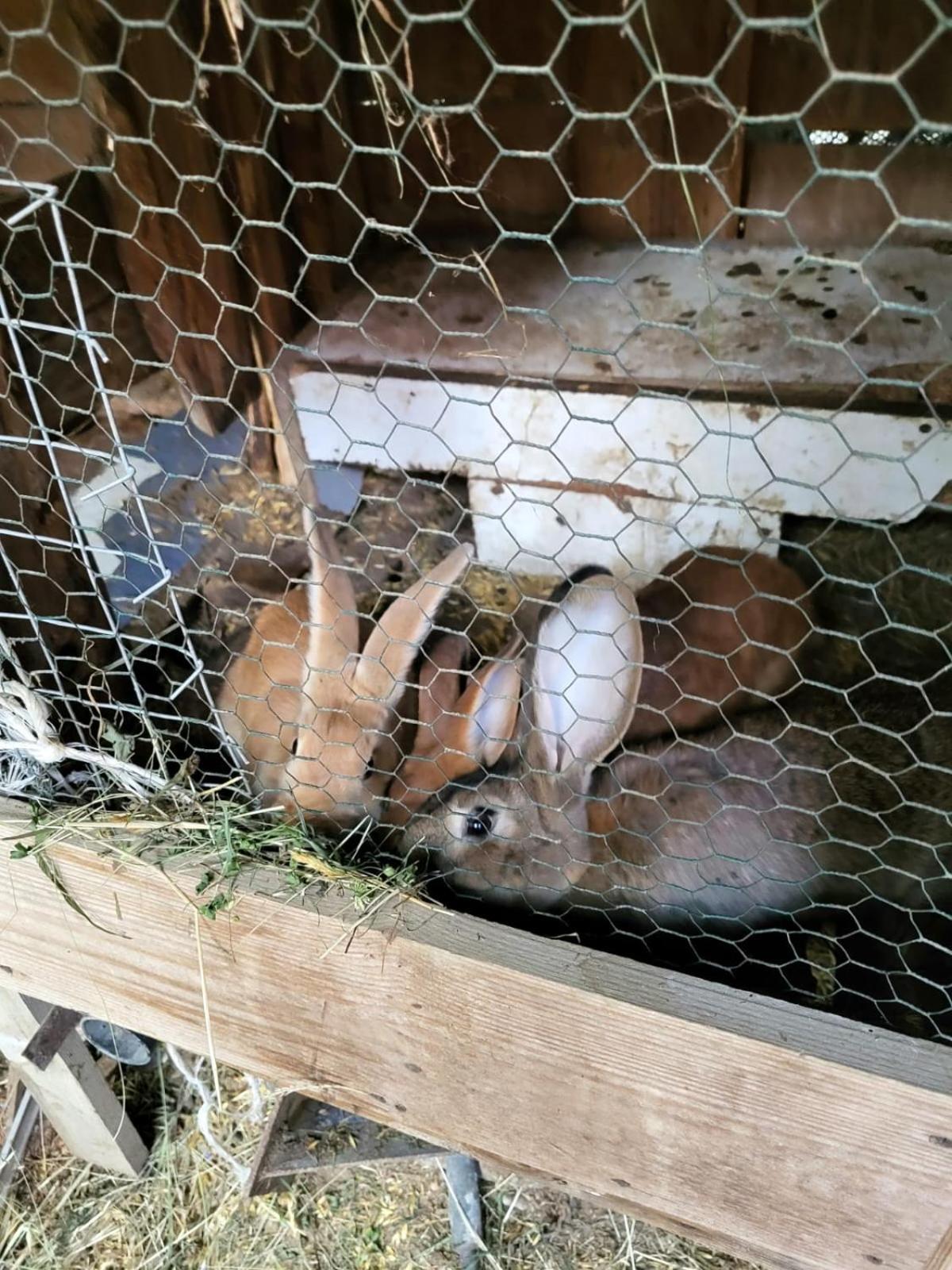 Koperkowe Rancho Beskid Wyspowy Domek Malopolskie Kamionna Kamionna  Екстериор снимка
