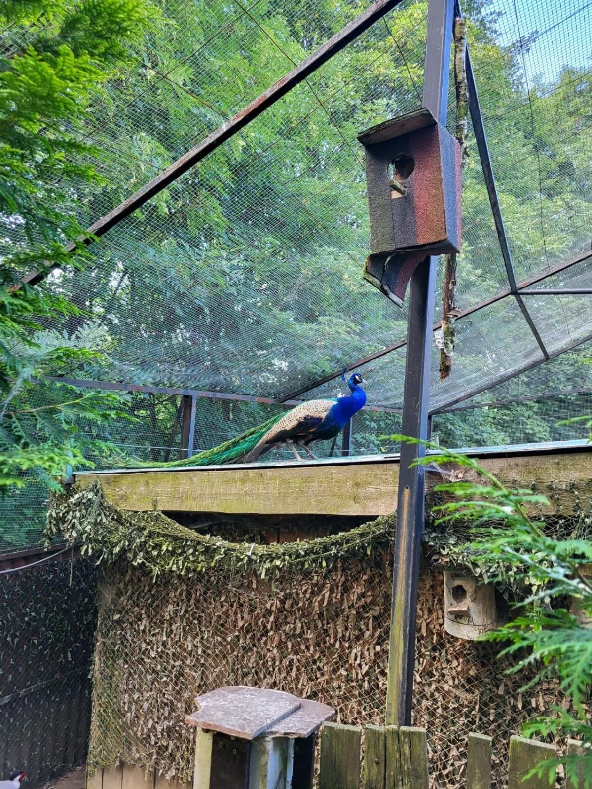 Koperkowe Rancho Beskid Wyspowy Domek Malopolskie Kamionna Kamionna  Екстериор снимка