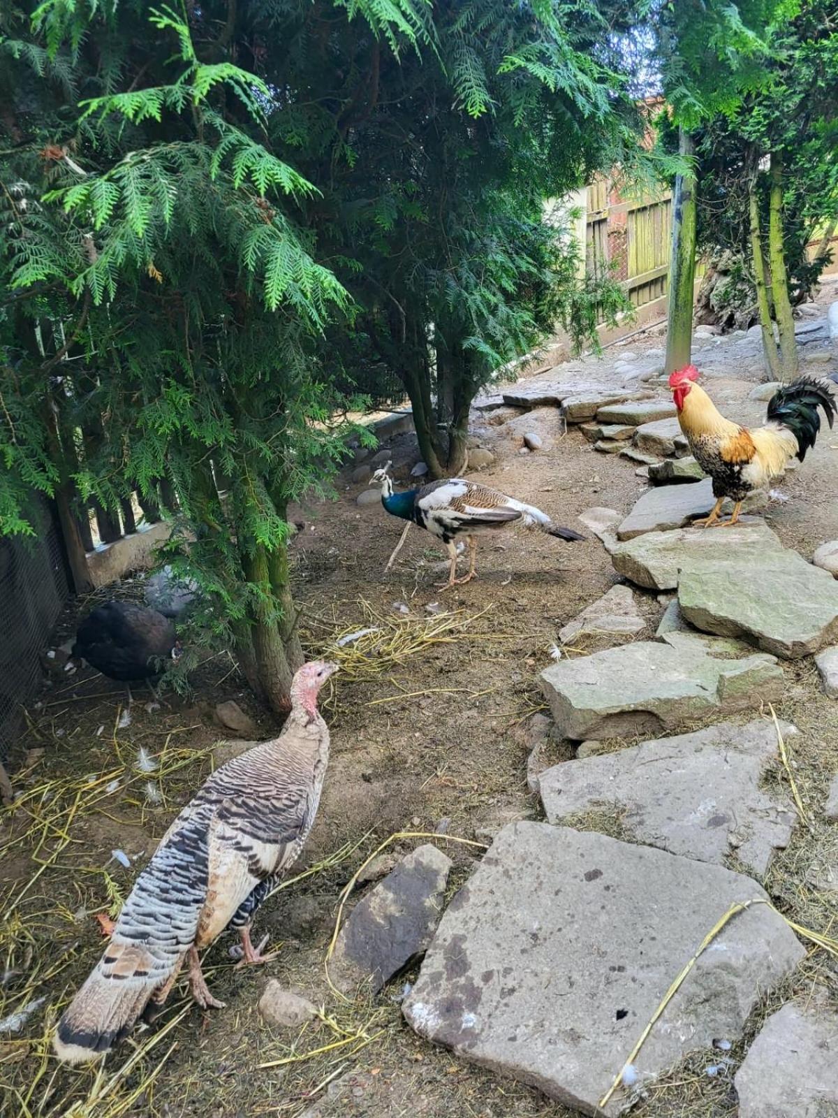 Koperkowe Rancho Beskid Wyspowy Domek Malopolskie Kamionna Kamionna  Екстериор снимка
