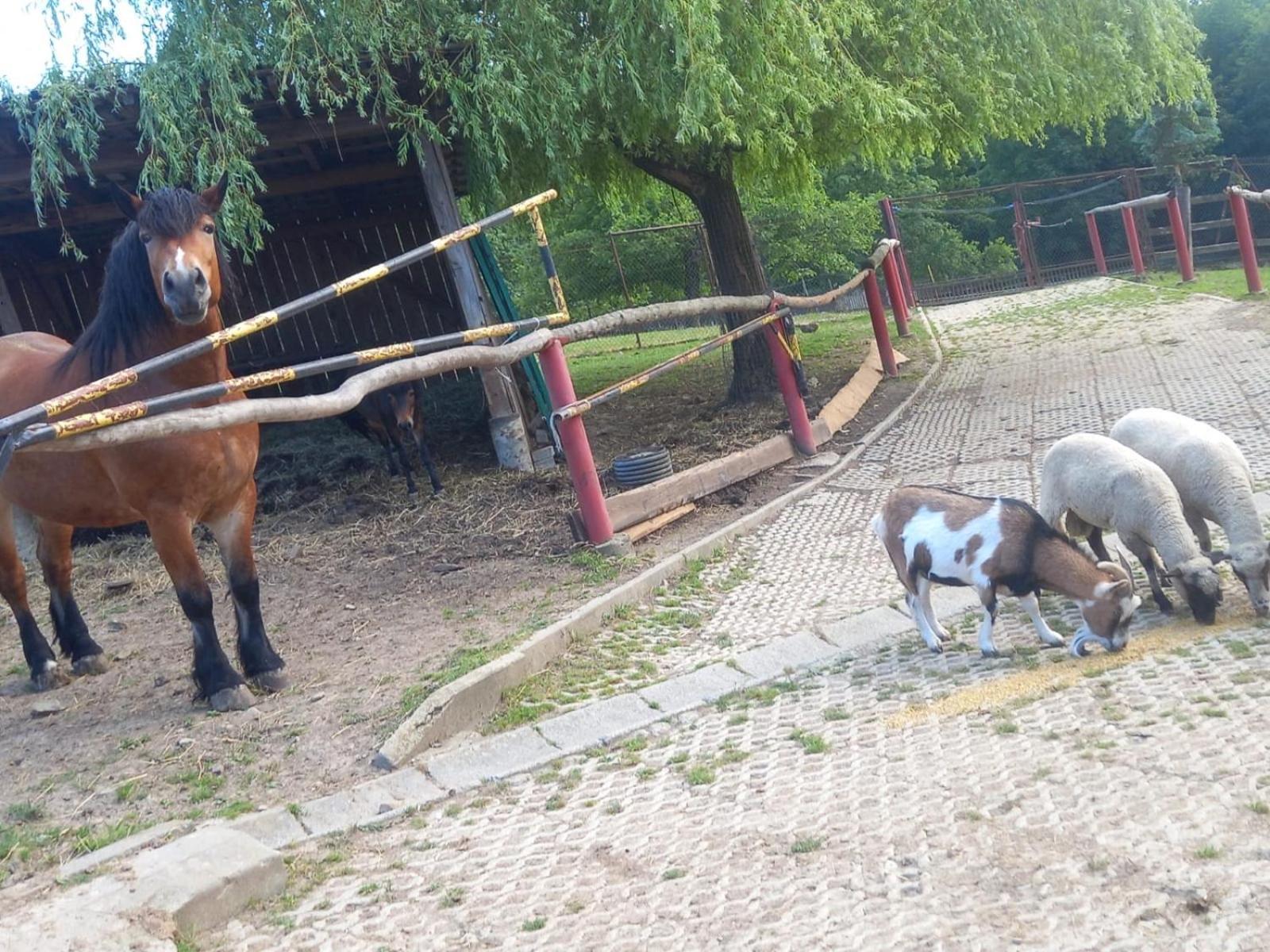 Koperkowe Rancho Beskid Wyspowy Domek Malopolskie Kamionna Kamionna  Екстериор снимка