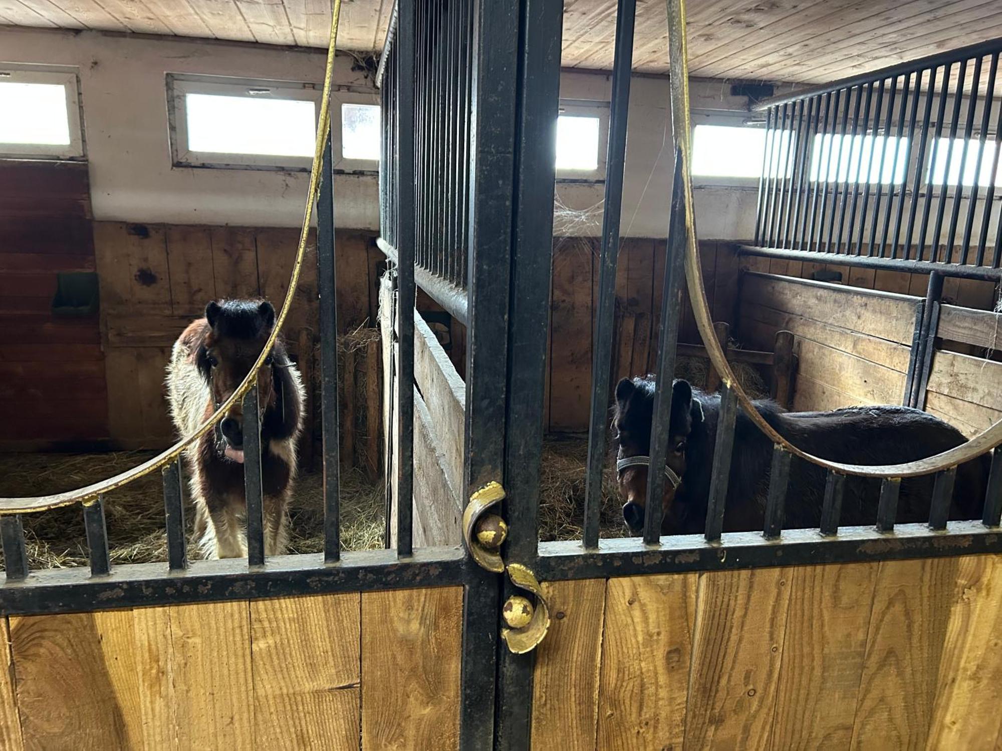 Koperkowe Rancho Beskid Wyspowy Domek Malopolskie Kamionna Kamionna  Екстериор снимка